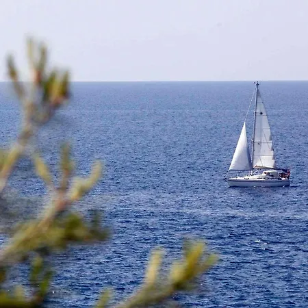 Snjezana In Stinjan - Istrien 17365 펜션 풀라