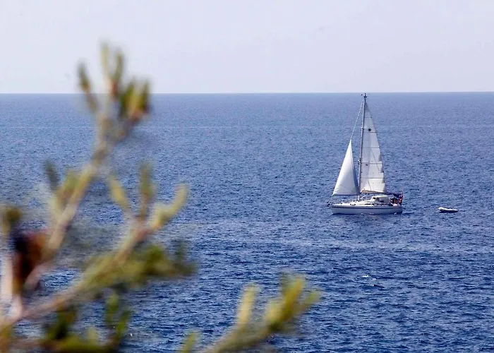 Snjezana In Stinjan - Istrien 17365 펜션 풀라