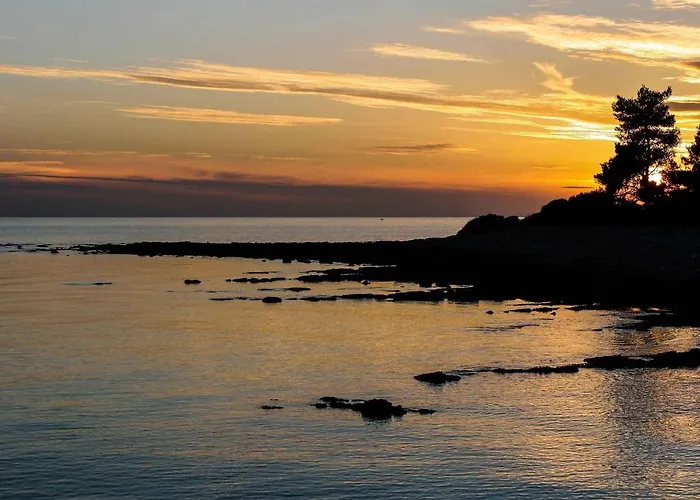 Snjezana In Stinjan - Istrien 17365 펜션 *